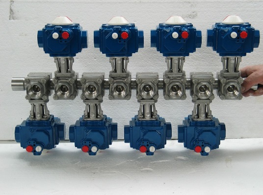 Habonim actionneur Compact Manifold